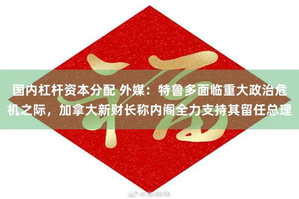国内杠杆资本分配 外媒：特鲁多面临重大政治危机之际，加拿大新财长称内阁全力支持其留任总理