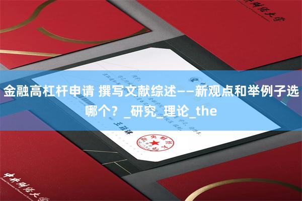 金融高杠杆申请 撰写文献综述——新观点和举例子选哪个？_研究_理论_the
