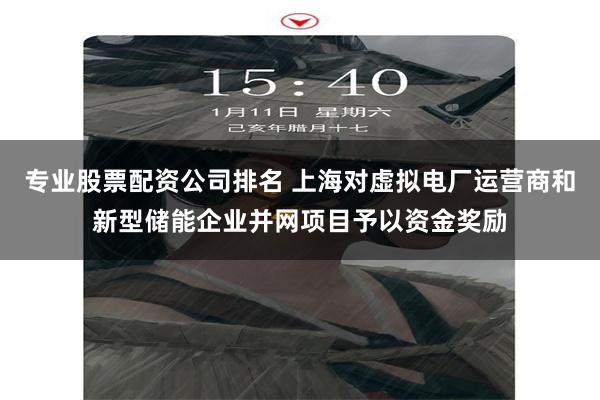 专业股票配资公司排名 上海对虚拟电厂运营商和新型储能企业并网项目予以资金奖励