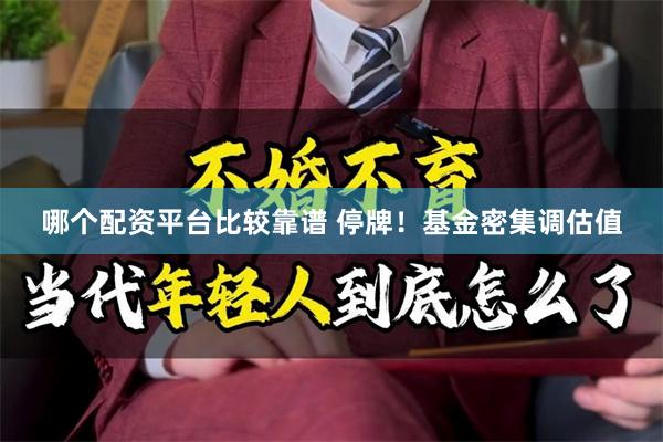 哪个配资平台比较靠谱 停牌！基金密集调估值