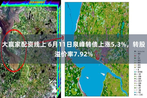大赢家配资线上 6月11日泉峰转债上涨5.3%，转股溢价率7.92%