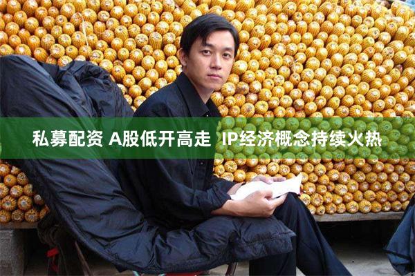 私募配资 A股低开高走  IP经济概念持续火热