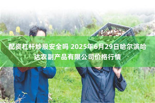 配资杠杆炒股安全吗 2025年6月29日哈尔滨哈达农副产品有限公司价格行情