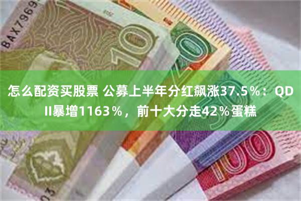怎么配资买股票 公募上半年分红飙涨37.5％：QDII暴增1163％，前十大分走42％蛋糕