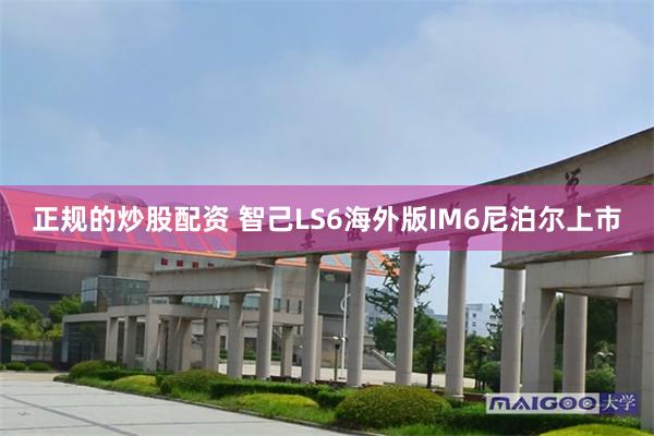 正规的炒股配资 智己LS6海外版IM6尼泊尔上市