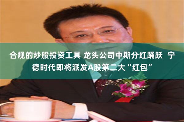 合规的炒股投资工具 龙头公司中期分红踊跃  宁德时代即将派发A股第二大“红包”